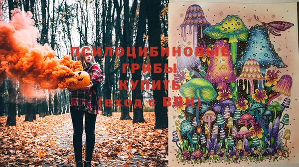 а пвп мука Алексеевка