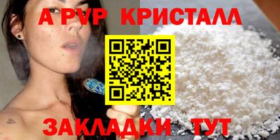 стаф Ярославль