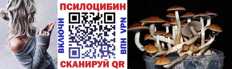 Галлюциногенные грибы Magic Shrooms  Ангарск 